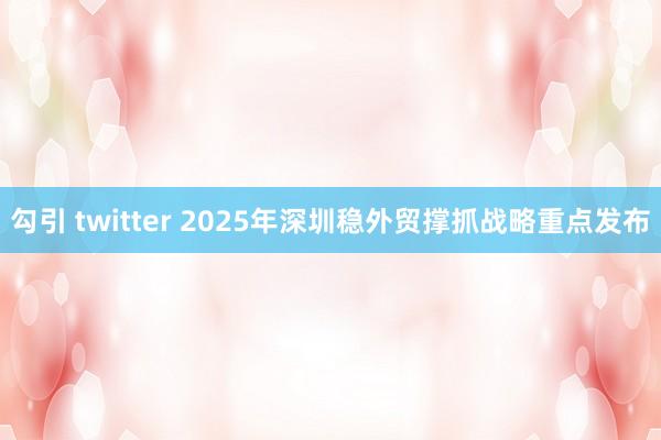 勾引 twitter 2025年深圳稳外贸撑抓战略重点发布