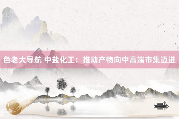 色老大导航 中盐化工：推动产物向中高端市集迈进