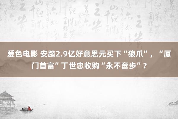 爱色电影 安踏2.9亿好意思元买下“狼爪”，“厦门首富”丁世忠收购“永不啻步”？