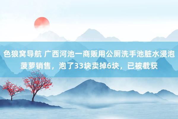 色狼窝导航 广西河池一商贩用公厕洗手池脏水浸泡菠萝销售，泡了33块卖掉6块，已被截获